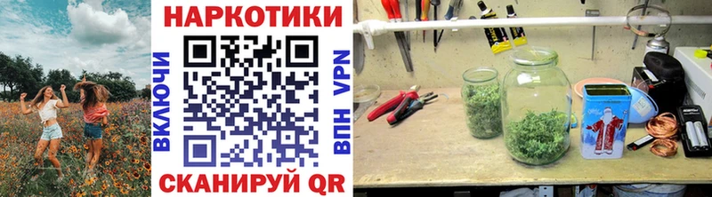 Виды наркоты Лесной ГАШ Конопля Галлюциногенные грибы Метадон A-PVP Меф